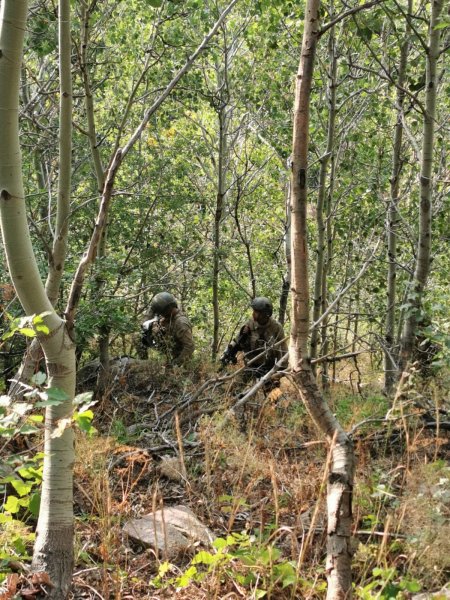 Yıldırım-9 Şenyayla Operasyonu