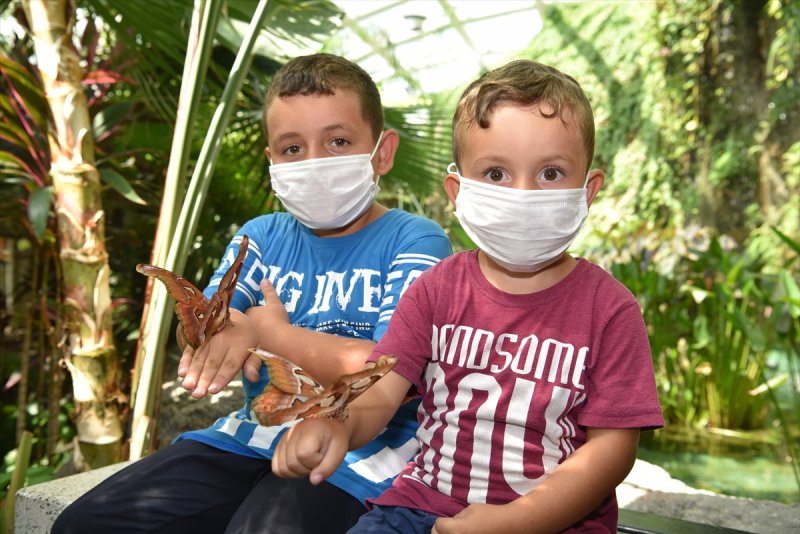 Konya'da dev kelebeğe büyük ilgi