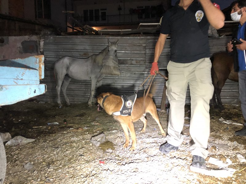 Bursa’da 500 polis ile uyuşturucu tacirlerine düzenlenen şafak operasyonu