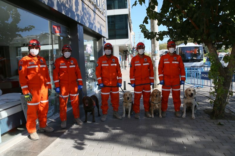 Dedektör köpekler, enkaz altındakileri hayata bağlıyor