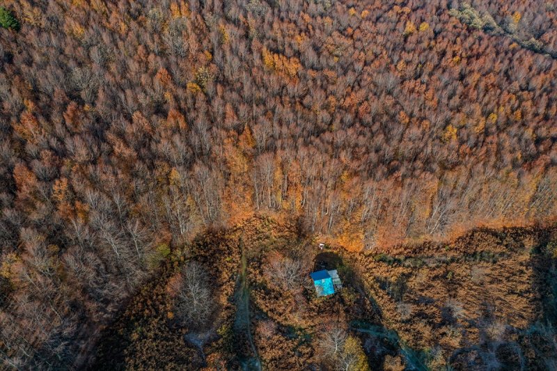 Uludağ'da 7 yıldır teknolojiden uzak yaşayan maratoncu