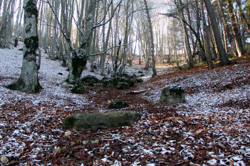 Bolu'da sonbahar yaprakları, karla buluştu