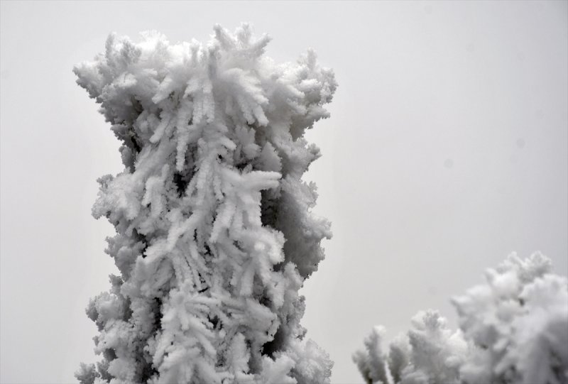 Sivas'ta kırağı ve sis, büyüleyici görüntüleri ortaya çıkardı