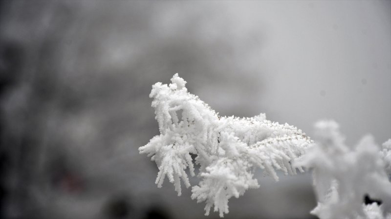 Sivas'ta kırağı ve sis, büyüleyici görüntüleri ortaya çıkardı
