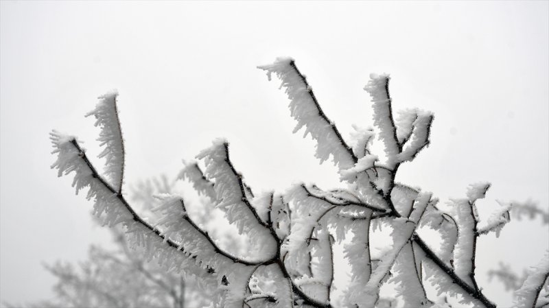 Sivas'ta kırağı ve sis, büyüleyici görüntüleri ortaya çıkardı