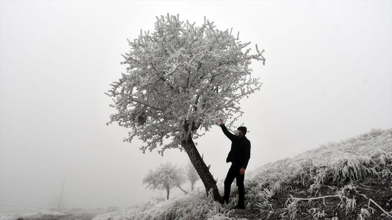 Sivas'ta kırağı ve sis, büyüleyici görüntüleri ortaya çıkardı
