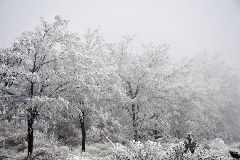 Sivas'ta kırağı ve sis, büyüleyici görüntüleri ortaya çıkardı