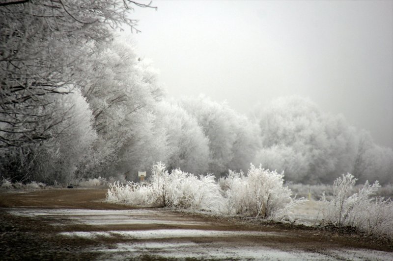 Sivas'ta kırağı ve sis, büyüleyici görüntüleri ortaya çıkardı