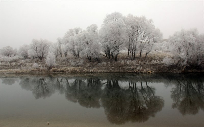 Sivas'ta kırağı ve sis, büyüleyici görüntüleri ortaya çıkardı