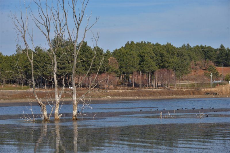 Pelitözü Göleti'nde su 30 metre çekildi