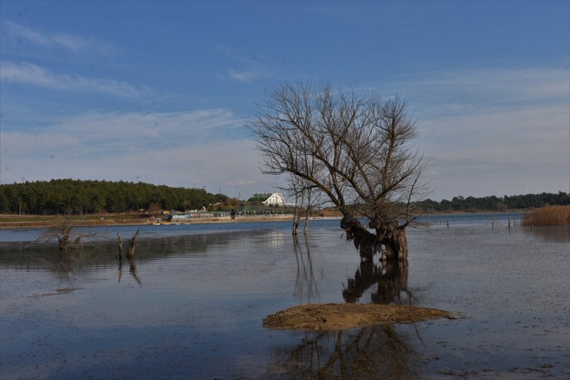 Pelitözü Göleti'nde su 30 metre çekildi
