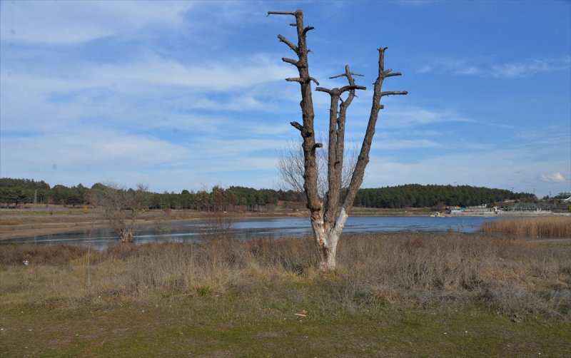 Pelitözü Göleti'nde su 30 metre çekildi