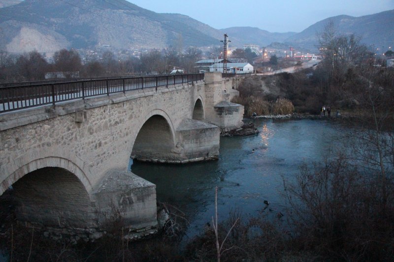 Yeşilırmak'ta toplu balık ölümleri