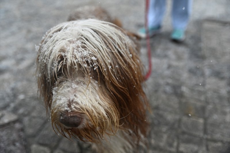 Paris'te kar yağışı