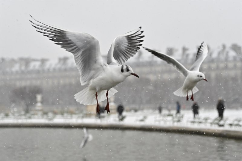 Paris'te kar yağışı
