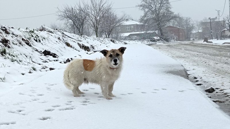 Kar yağışı, İstanbul'a giriş yaptı