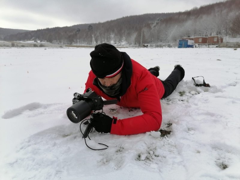 Kardelenleri koparmanın cezası 80 bin lira oldu	