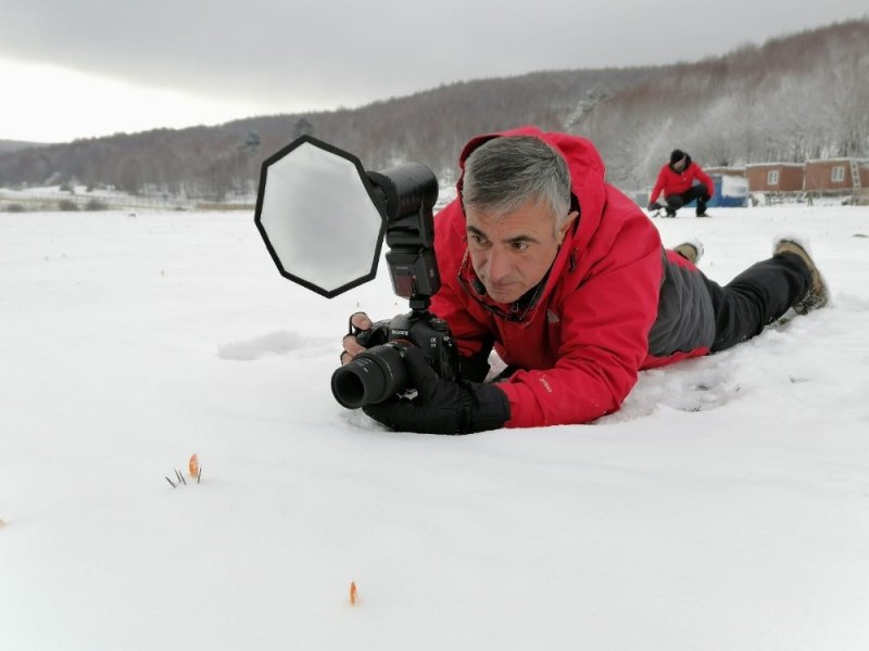 Kardelenleri koparmanın cezası 80 bin lira oldu	