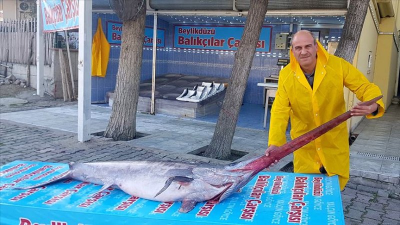 Sağlıklı beslenmek isteyenler için besinlerin kalorileri