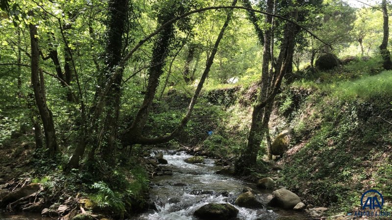 Kazdağları doğal güzelliğiyle görenleri büyülüyor