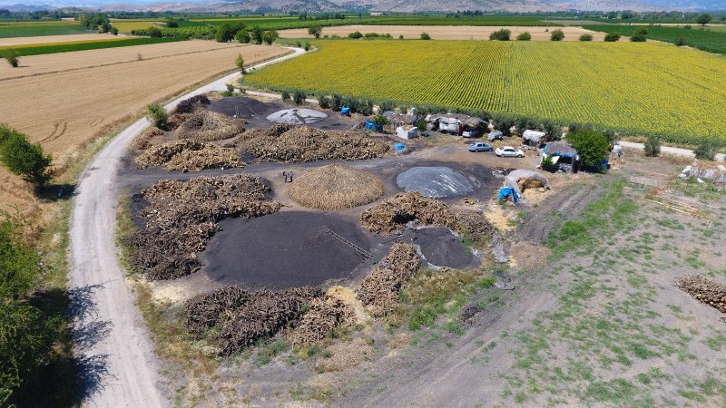 Portakal ağaçlarının kömür yolculuğu