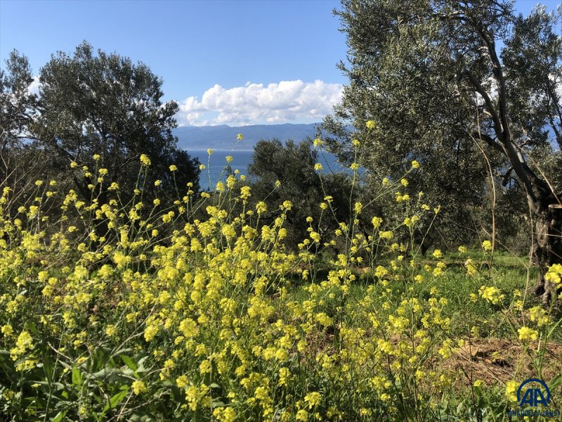 Kazdağları doğal güzelliğiyle görenleri büyülüyor