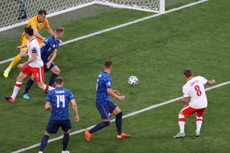 Polonya-Slovakya maçından kareler