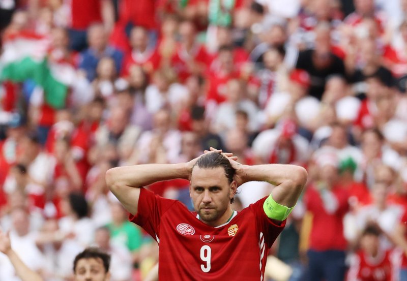 Macaristan-Portekiz maçından kareler