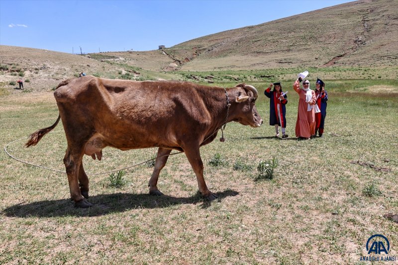 Van'da öğrenciler mezuniyet kutlamasını Survivor parkurunda yarışarak yaptı