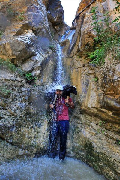 Sıcaktan bunalan küçükbaş hayvanlar şelalede serinliyor