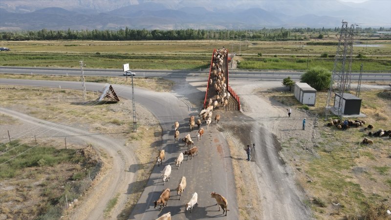 Erzincan'da Ekolojik Üst Geçit, güvenli geçiş rotası oldu