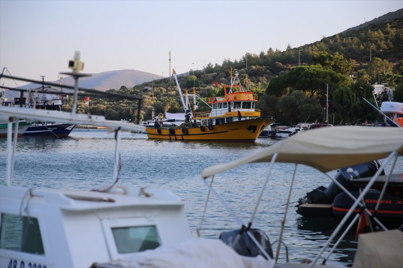 Balıklar, tezgahlardaki yerlerini aldı