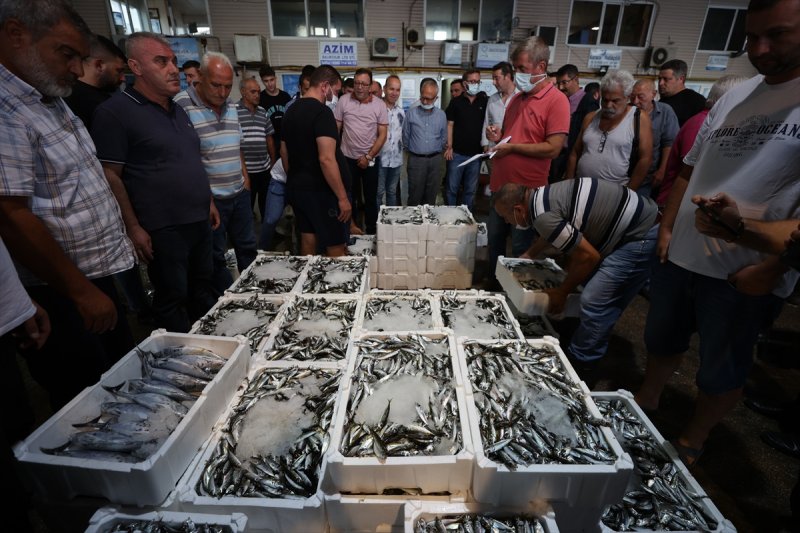 Balıklar, tezgahlardaki yerlerini aldı