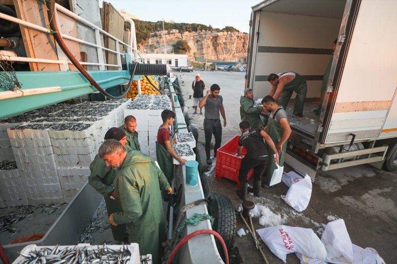 Balıklar, tezgahlardaki yerlerini aldı