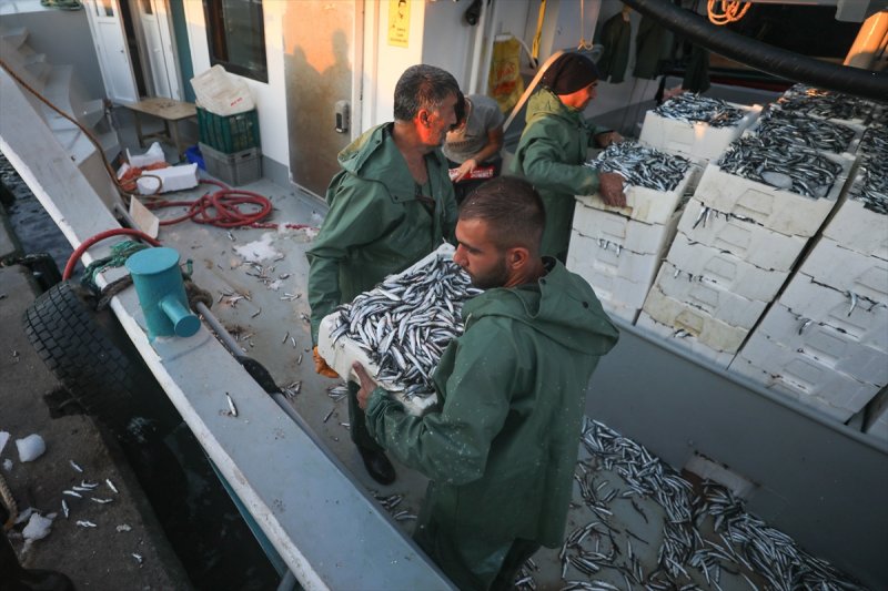 Balıklar, tezgahlardaki yerlerini aldı