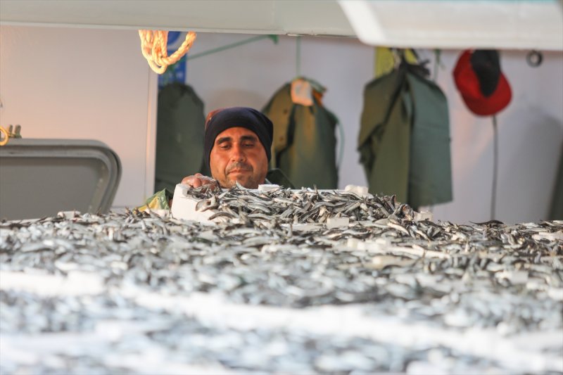 Balıklar, tezgahlardaki yerlerini aldı