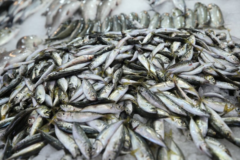 Balıklar, tezgahlardaki yerlerini aldı