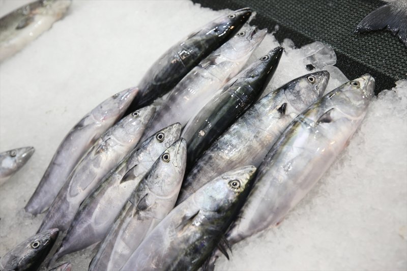 Balıklar, tezgahlardaki yerlerini aldı
