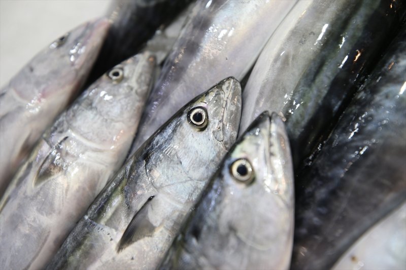 Balıklar, tezgahlardaki yerlerini aldı