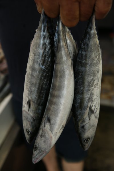 Balıklar, tezgahlardaki yerlerini aldı