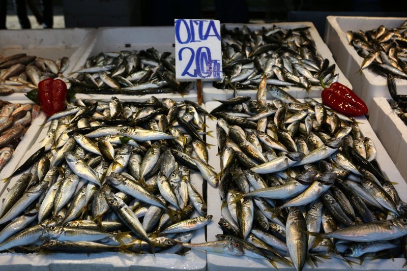 Balıklar, tezgahlardaki yerlerini aldı