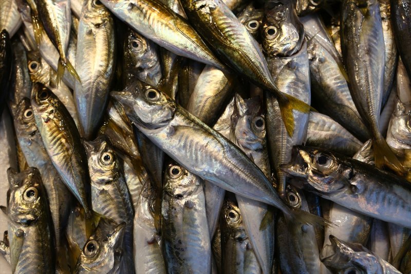 Balıklar, tezgahlardaki yerlerini aldı