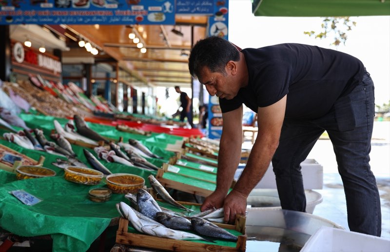 Balıklar, tezgahlardaki yerlerini aldı