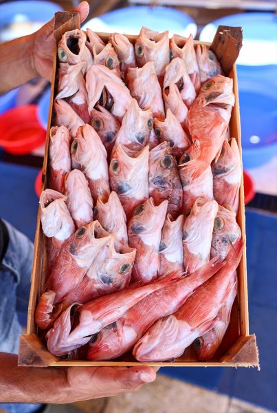 Balıklar, tezgahlardaki yerlerini aldı