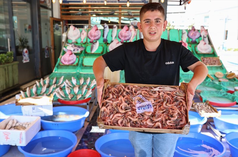 Balıklar, tezgahlardaki yerlerini aldı