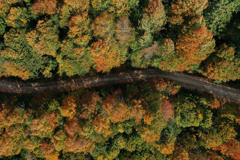 Kocaeli'de sonbahar renkleri