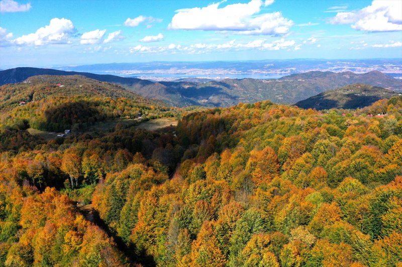Kocaeli'de sonbahar renkleri