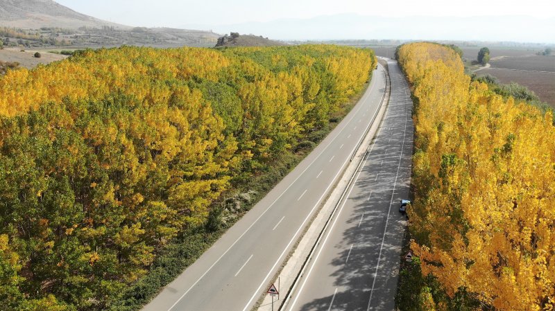 Uludağ'da güz güzelliği