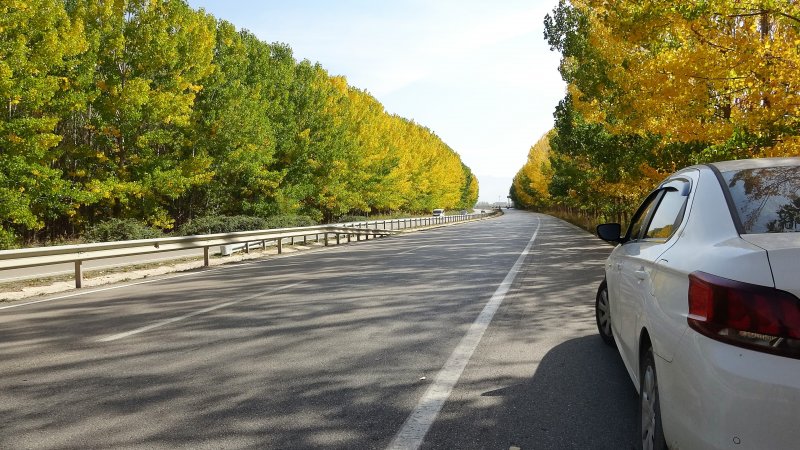 Uludağ'da güz güzelliği