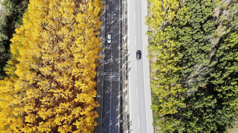 Uludağ'da güz güzelliği